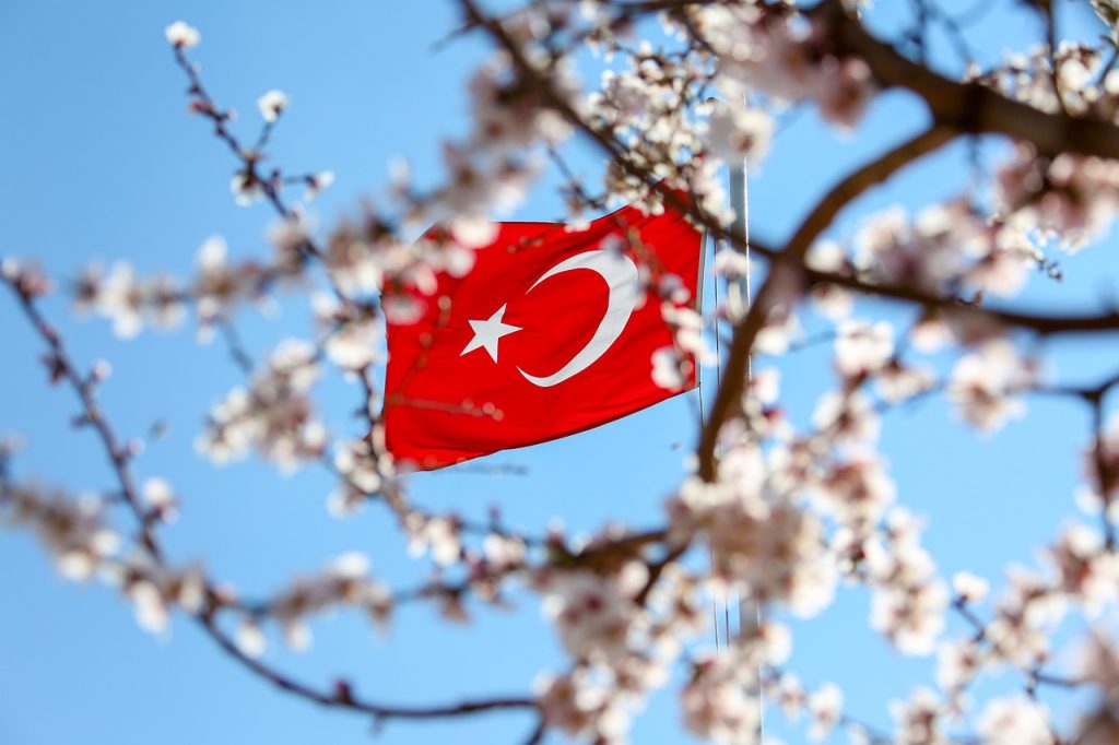 turkish, flag, turkey, red, white, moon, star